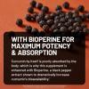 NatureWise Turmeric Curcumin with Black Pepper 2600mg – Ultra Absorption Turmeric Curcumin Supplement + BioPerine – Naturally-Sourced, Vegan, Non-GMO, USA Manufactured – 120 Capsules[30-Day Supply]