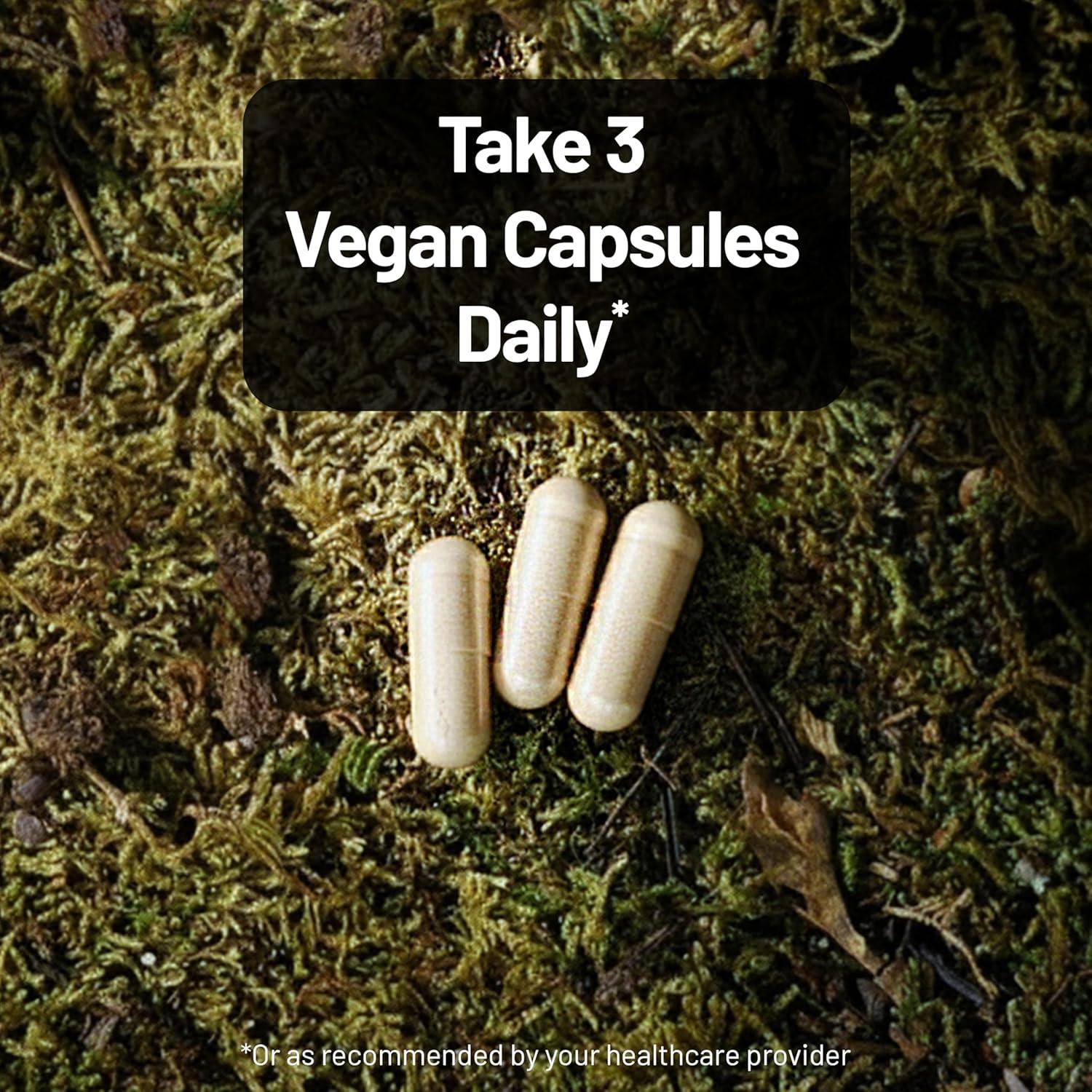 image:imageNatureWise Mushroom Complex with Organic Lions Mane Reishi amp Cordyceps Sinensis Lions Mane Supplement with Organic Mushrooms Vegan NonGMO USA Manufactured 90 Capsules30Day Supply