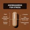 NatureWise Ashwagandha for Stress – With KSM-66 Extract, GABA, L-Theanine, Rhodiola Rosea – Herbal Mood & Sleep Support – Vegan, Non-GMO, Gluten-Free – 60 Capsules[1-Month Supply]