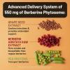 NatureWise Berberine 1000mg – Berberine Phytosome + HCI + Turmeric & Digestive Enzymes – Supports Healthy Blood Sugar + GI + Metabolism + Cholesterol – Non-GMO, USA Manufactured – [30 Day Supply]