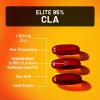 NatureWise CLA 1300 – 95% Active Conjugated Linoleic Acid for Women and Men, Not Stimulating, Supports Weight & Fitness Goals – Non-GMO, Gluten Free – 90 Softgels[1-Month Supply](ECLA 1300)