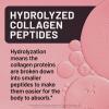 NatureWise Collagen Gummies – Hydrolyzed Collagen Gummies – Type 1 & 3 Peptides for Women + Biotin, Vitamin C, E, & Zinc for Hair Skin and Nails Support – 60 Count[1-Month Supply](Strawberry Lemon)