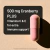 NatureWise Cranberry Pills for Women – 500mg Cranberry Extract (25:1) + Vitamin C & E – Cleansing Urinary Tract & Bladder – Vegan, Non-GMO, Sugar-Free – 60 Capsules[1-Month Supply](60 Count (Pack of 1))