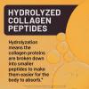 NatureWise Hydrolyzed Liquid Collagen for Women & Men 4000mg – Multi Collagen Peptides + Biotin + Vitamin C + Vitamin B Complex & Hyaluronic Acid – Mixed Berry – 15.22 fl oz[45 Day Supply](Mango)