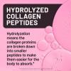 NatureWise Hydrolyzed Liquid Collagen for Women & Men 4000mg – Multi Collagen Peptides + Biotin + Vitamin C + Vitamin B Complex & Hyaluronic Acid – Mixed Berry – 15.22 fl oz[45 Day Supply](Mixed Berry)