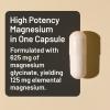 NatureWise Magnesium Glycinate 625 mg – High Absorption Chelated Magnesium Glycinate for Sleep, Relaxation, Muscle & Bones* – Gentle on Stomach, Vegan, Non-GMO – 30 Capsules[30-Day Supply](Unflavored)