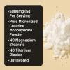 NatureWise Micronized Creatine Monohydrate Powder, 5000mg (5g) Per Serving – Creatine for Women & Men – Pure, Unflavored, Supports Lean Muscle Mass, Endurance – 100 Servings