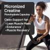 NatureWise Micronized Creatine Monohydrate Powder, 5000mg (5g) Per Serving – Creatine for Women & Men – Pure, Unflavored, Supports Lean Muscle Mass, Endurance – 100 Servings