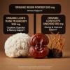 NatureWise Mushroom Complex – with Organic Lion’s Mane + Reishi & Cordyceps Sinensis – Lions Mane Supplement with Organic Mushrooms – Vegan – Non-GMO – USA Manufactured – 90 Capsules[30-Day Supply]