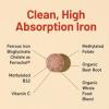 NatureWise Vegan Iron Supplement for Women & Men – Gentle on Stomach High Absorption – Coated Iron Bisglycinate Tablets + Vitamin C, Methyl B12, Folate & Organic Food Blend – 30 Tablets[30-Day Supply](Unflavored)