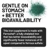 NatureWise Vegan Iron Supplement for Women & Men – Gentle on Stomach High Absorption – Coated Iron Bisglycinate Tablets + Vitamin C, Methyl B12, Folate & Organic Food Blend – 30 Tablets[30-Day Supply](Unflavored)