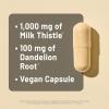 NatureWise Milk Thistle with Dandelion Root – Silymarin – Antioxidant Liver & Kidney Health Support Supplement – Vegan, Non-GMO, Gluten Free – 60 Count[60-Day Supply](180 Count (Pack of 1))