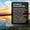 NatureWise Triple Strength Astaxanthin 12mg with AstaReal® – Vegan Antioxidant Supplement with Organic Coconut Oil – NSF Certified Gluten Free, Non-GMO – 60 Softgels[60 Day Supply]