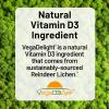 NatureWise Vegan Vitamin D3 + K2 – Natural D3 5000IU + Natural Vitamin K2 100mcg – Bone Support – High Absorption with Organic Cold-Pressed Olive Oil – Non-GMO(60 Count (Pack of 2))