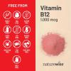 NatureWise Vitamin B12 1000 mcg – Dietary Supplement for Supporting Energy Metabolism, Mental Clarity, Nervous System Health – Easy-to-Swallow, Soy & Gluten-Free, Non-GMO – 60 Softgels[60-Day Supply](Vitamin)