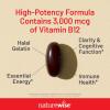 NatureWise Vitamin B12 3000 mcg – Extra Strength – Supplement for Supporting Energy Levels, Mental Clarity, Nervous System Health – Easy-to-Swallow, Soy and Gluten-Free, Non-GMO – 60 Softgels