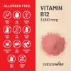 NatureWise Vitamin B12 3000 mcg – Extra Strength – Supplement for Supporting Energy Levels, Mental Clarity, Nervous System Health – Easy-to-Swallow, Soy and Gluten-Free, Non-GMO – 60 Softgels
