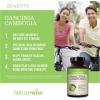 Naturewise Garcinia Cambogia – 60% HCA Concentration Extract, Natural Support for Weight Goals and Energy Levels – Vegan, Non-GMO, Gluten Free – 90 Capsules[1-3 Month Supply](180 Count (Pack of 2))