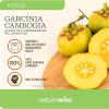 Naturewise Garcinia Cambogia – 60% HCA Concentration Extract, Natural Support for Weight Goals and Energy Levels – Vegan, Non-GMO, Gluten Free – 90 Capsules[1-3 Month Supply](180 Count (Pack of 2))
