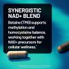 NatureWise NAD+ Support Complex – Nicotinamide Riboside + Resveratrol to Support NAD+ Supplement for Healthy Aging + Clinically Tested Quercefit – USA Manufactured – Non-GMO, 60 Count[30-Day Supply]