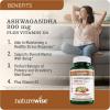 NatureWise Ashwagandha Gummies – Strawberry Kiwi – KSM-66 with Vitamin D3 – Calming Mood Support – Vegetarian – Non-GMO, Gelatin and Gluten Free – 60 Count[1-Month Supply]